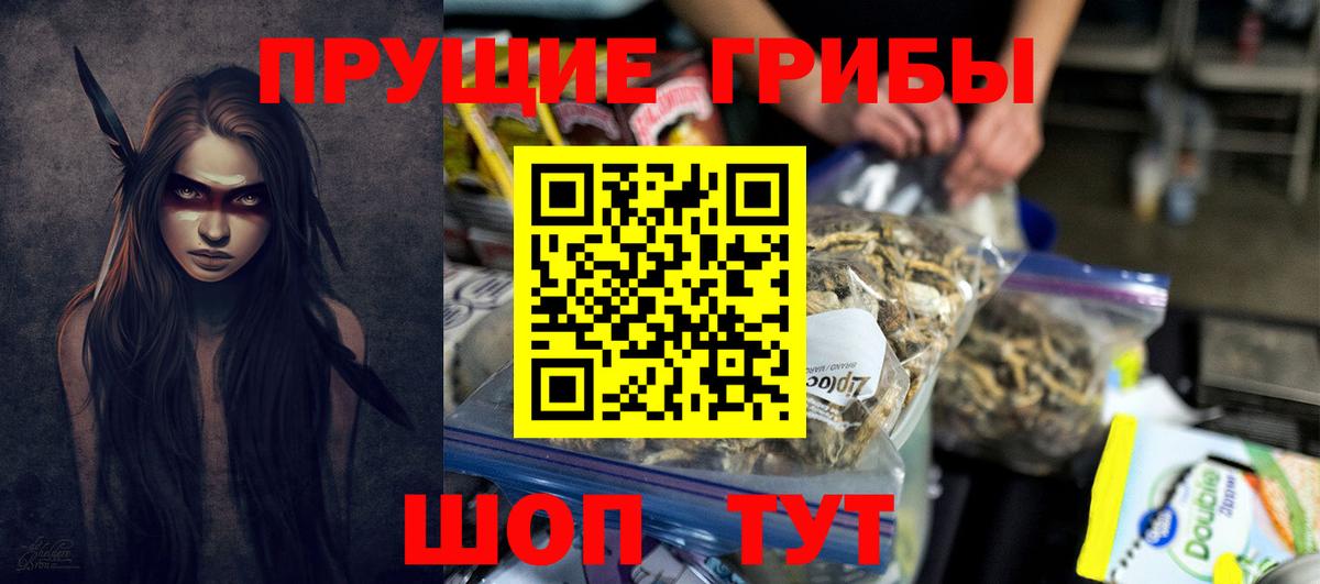 Галлюциногенные грибы Magic Shrooms  Вход с VPN  Королёв  Псилоцибиновые грибы мицелий 