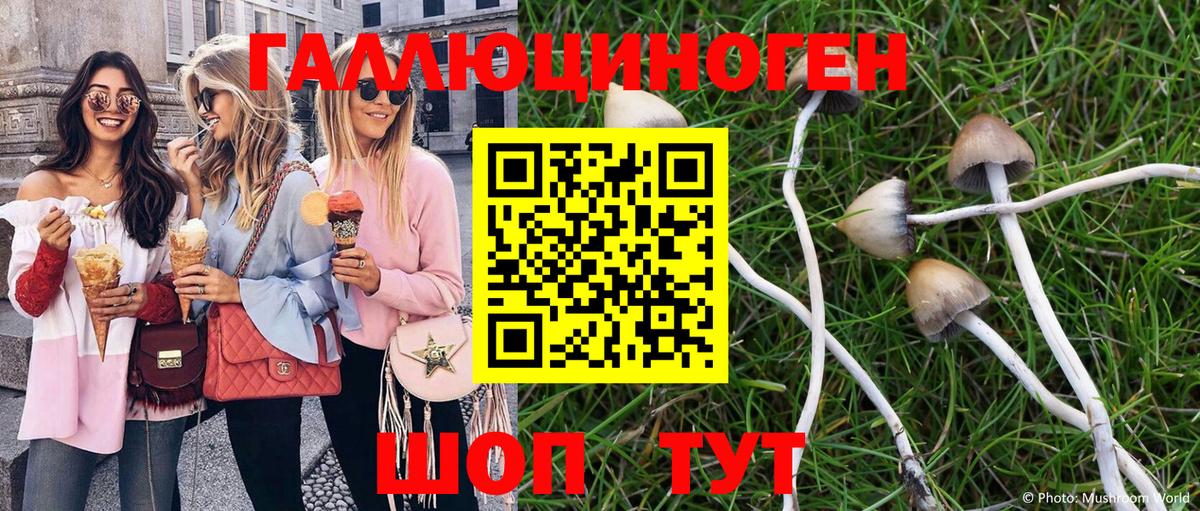 Галлюциногенные грибы прущие грибы Королёв